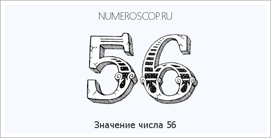 Расшифровка значения числа 56 по цифрам в нумерологии