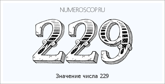 Значение числа 0229 Расшифровка значения числа 0229 по цифрам в нумерологии