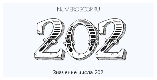Расшифровка значения числа 202 по цифрам в нумерологии