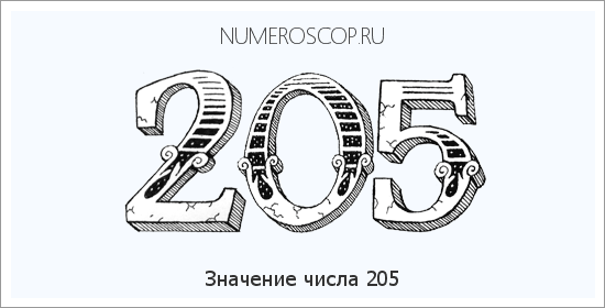 Расшифровка значения числа 205 по цифрам в нумерологии