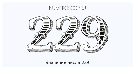 Расшифровка значения числа 229 по цифрам в нумерологии