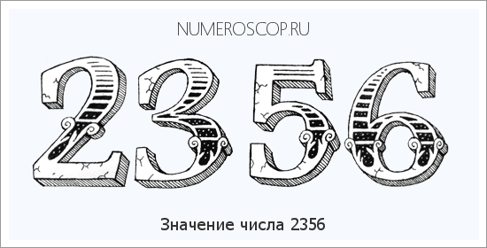 Расшифровка значения числа 2356 по цифрам в нумерологии