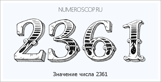 Расшифровка значения числа 2361 по цифрам в нумерологии