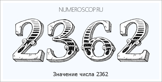 Расшифровка значения числа 2362 по цифрам в нумерологии