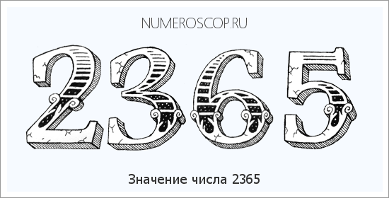 Расшифровка значения числа 2365 по цифрам в нумерологии