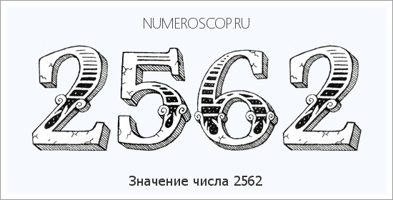 Расшифровка значения числа 2562 по цифрам в нумерологии