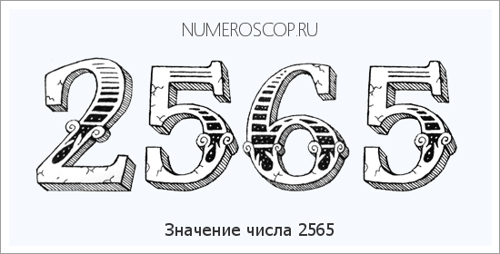 Расшифровка значения числа 2565 по цифрам в нумерологии