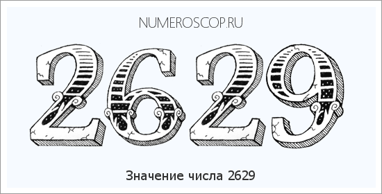 Расшифровка значения числа 2629 по цифрам в нумерологии