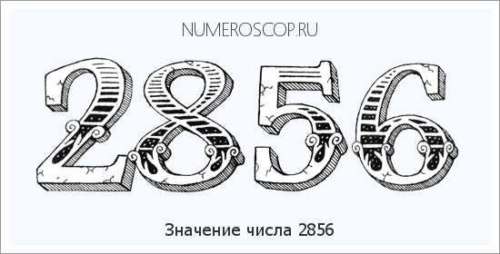 Расшифровка значения числа 2856 по цифрам в нумерологии