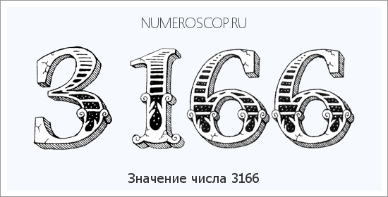 Расшифровка значения числа 3166 по цифрам в нумерологии