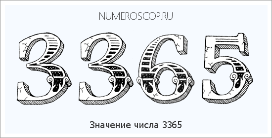 Расшифровка значения числа 3365 по цифрам в нумерологии