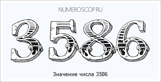 Расшифровка значения числа 3586 по цифрам в нумерологии