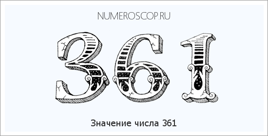 Расшифровка значения числа 361 по цифрам в нумерологии