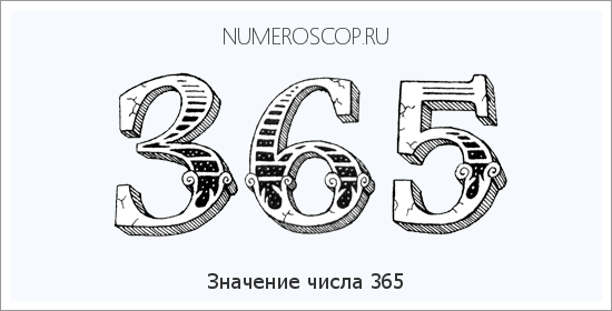 Расшифровка значения числа 365 по цифрам в нумерологии