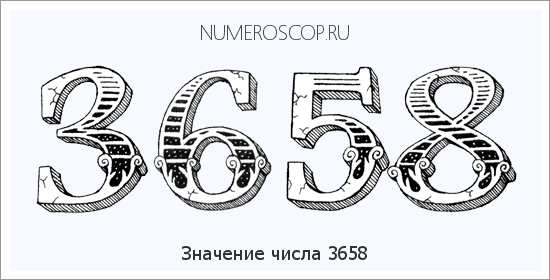 Расшифровка значения числа 3658 по цифрам в нумерологии