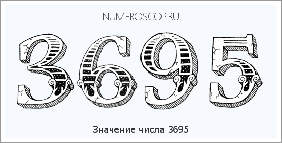 Расшифровка значения числа 3695 по цифрам в нумерологии