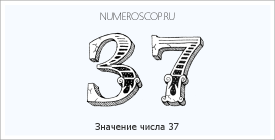 Расшифровка значения числа 37 по цифрам в нумерологии