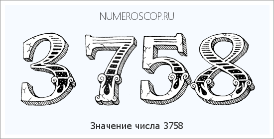 Расшифровка значения числа 3758 по цифрам в нумерологии