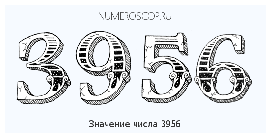Расшифровка значения числа 3956 по цифрам в нумерологии