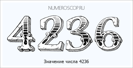 Расшифровка значения числа 4236 по цифрам в нумерологии