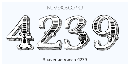 Расшифровка значения числа 4239 по цифрам в нумерологии