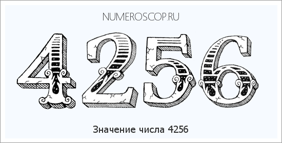 Расшифровка значения числа 4256 по цифрам в нумерологии