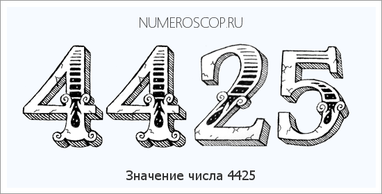 Расшифровка значения числа 4425 по цифрам в нумерологии
