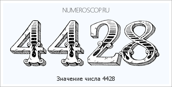 Расшифровка значения числа 4428 по цифрам в нумерологии