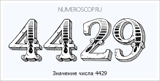 Расшифровка значения числа 4429 по цифрам в нумерологии