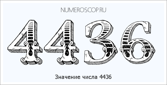 Расшифровка значения числа 4436 по цифрам в нумерологии