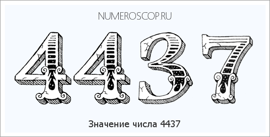 Расшифровка значения числа 4437 по цифрам в нумерологии