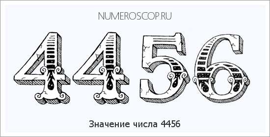 Расшифровка значения числа 4456 по цифрам в нумерологии