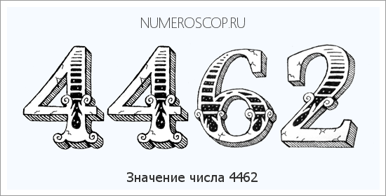 Расшифровка значения числа 4462 по цифрам в нумерологии