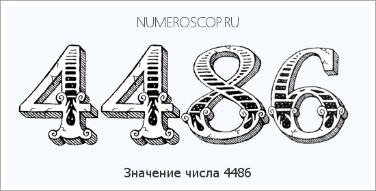 Расшифровка значения числа 4486 по цифрам в нумерологии