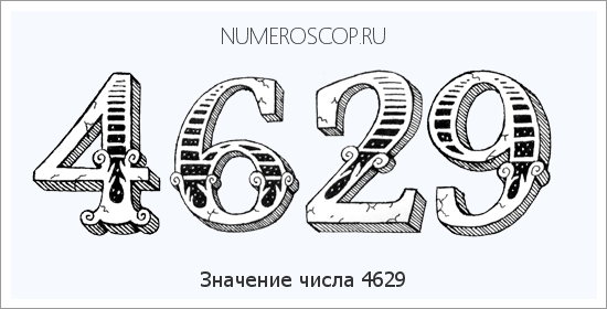 Расшифровка значения числа 4629 по цифрам в нумерологии