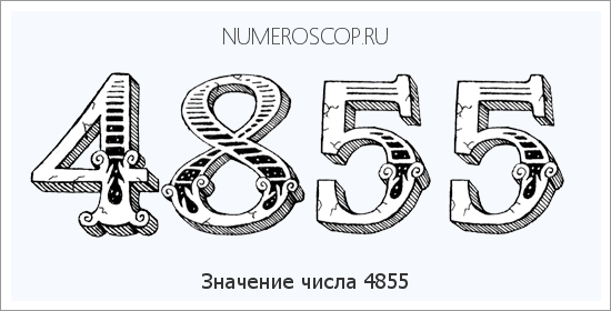 Расшифровка значения числа 4855 по цифрам в нумерологии