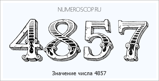 Расшифровка значения числа 4857 по цифрам в нумерологии
