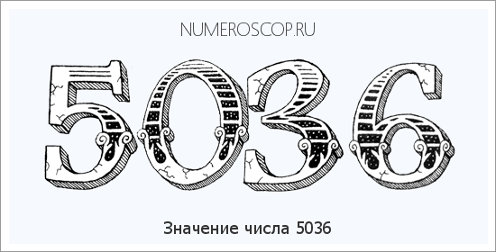 Расшифровка значения числа 5036 по цифрам в нумерологии