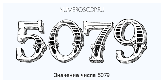 Расшифровка значения числа 5079 по цифрам в нумерологии