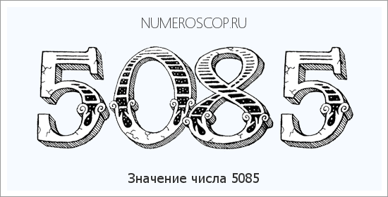 Расшифровка значения числа 5085 по цифрам в нумерологии