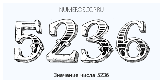 Расшифровка значения числа 5236 по цифрам в нумерологии