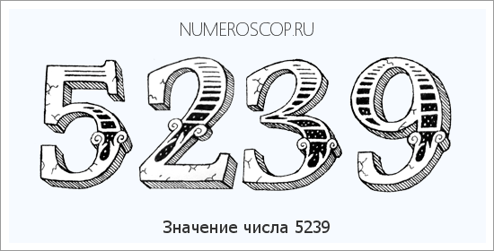 Расшифровка значения числа 5239 по цифрам в нумерологии