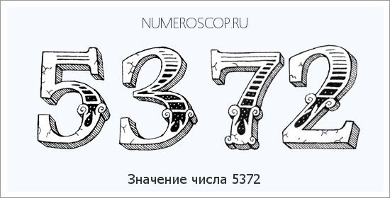 Расшифровка значения числа 5372 по цифрам в нумерологии