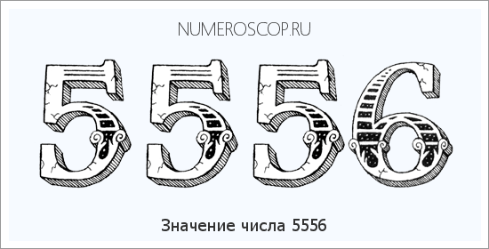Расшифровка значения числа 5556 по цифрам в нумерологии