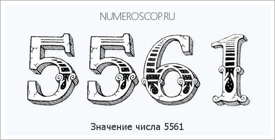 Расшифровка значения числа 5561 по цифрам в нумерологии