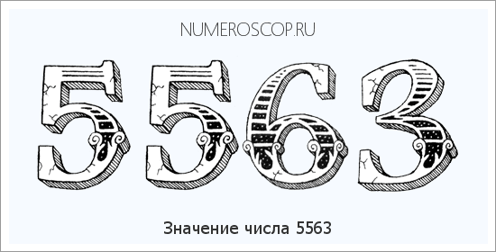 Расшифровка значения числа 5563 по цифрам в нумерологии