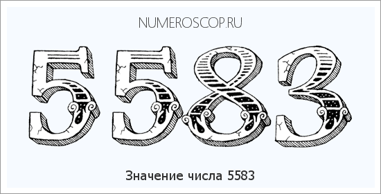 Расшифровка значения числа 5583 по цифрам в нумерологии