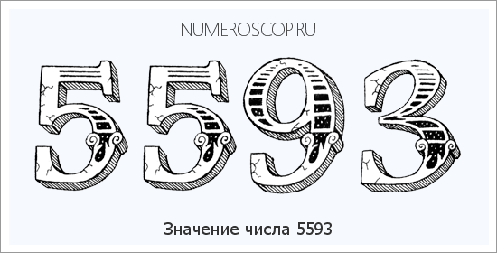 Расшифровка значения числа 5593 по цифрам в нумерологии