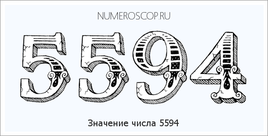 Расшифровка значения числа 5594 по цифрам в нумерологии