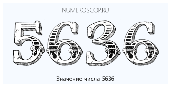Расшифровка значения числа 5636 по цифрам в нумерологии